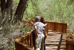 Visitors point out petroglyphs at the Petroglyph Panel along Utah Highway 24.