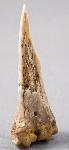 Bone Awl
