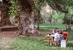 Visitors enjoy a picnic in Historic Fruita.
