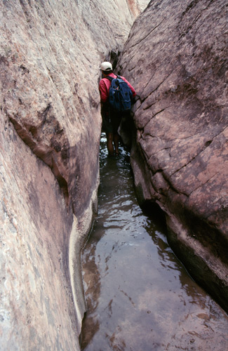 Burro Wash Canyon