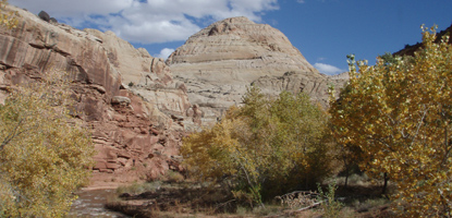Fremont River and Capitol Dome