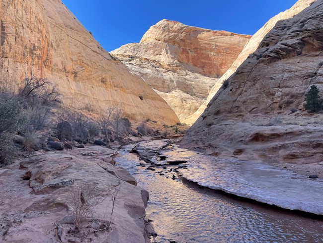 Tall Navajo sandstone walls tower over a creek with an icy shelf