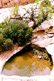 Water pocket
