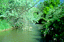 Fremont River