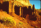 Moenkopi Formation