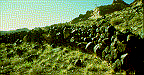 Black Boulder Fence