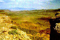 Desert landscape