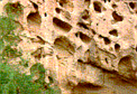 Small shallow holes are indicative of erosion in the canyon walls