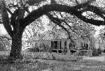 Oakland Main House