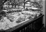 Bottle garden seen from porch
