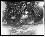 South view of store