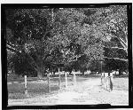 W view of Doctor's cottage.