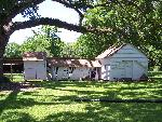 chicken coops limewashed