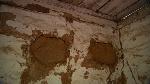 Bousillage in wall of the Cook's cabin