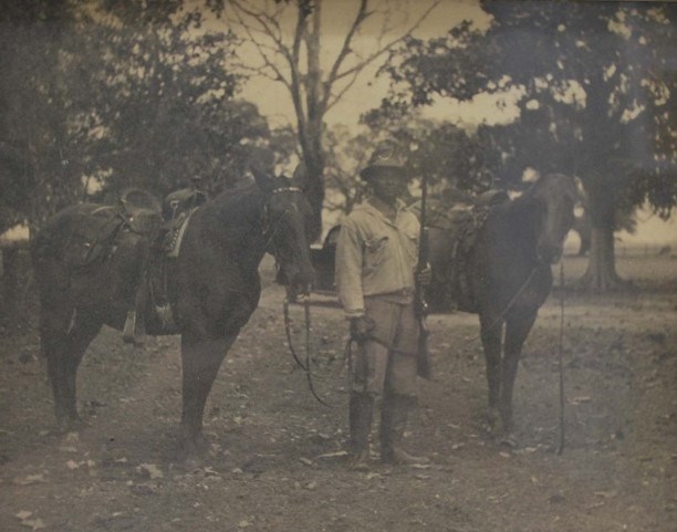 A man stands with two horses.