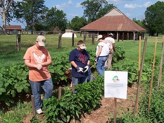 volunteers
