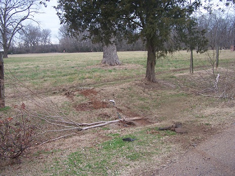 Fence Damage 
