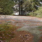 A granitic dome outside of Carl Sandburg's home.
