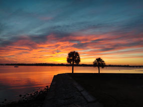 Palm trees at dawn on Matanzas Bay