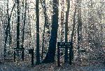Ice on Hog Rock Trail Sign