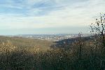 Mountain Scenic View