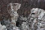Wolf Rock