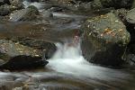 Scenic Stream