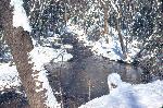 Big Hunting Creek in Winter