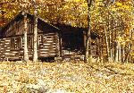 Lodge 42, Fall Color, Sleeps 8