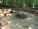 Campfire & Cooking Grill
