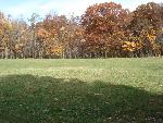 Playfield