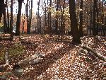 Walkway to Chapel