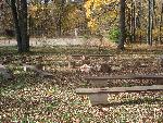 Campfire circle