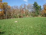 Playing field