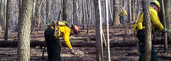 Firefighters at Wolf Rock fire 11/14/2001