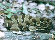Nature and Science