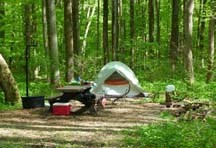 Scenic View of Camping at Owens Creek Campground