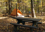 Owens Creek Camping
