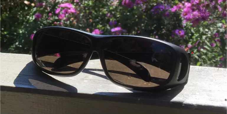 One pair of black color-correction eyeglasses sit on a ledge at Catoctin Mountain Park.