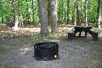 Chestnut picnic table UA