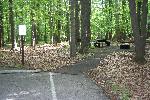 Chestnut picnic table path UA