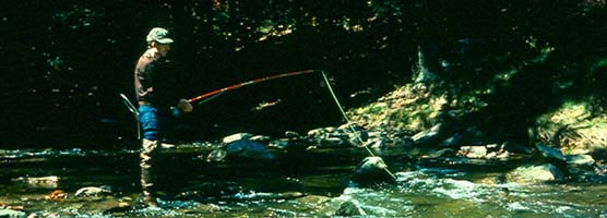 Flyfishing on Big Hunting Creek.