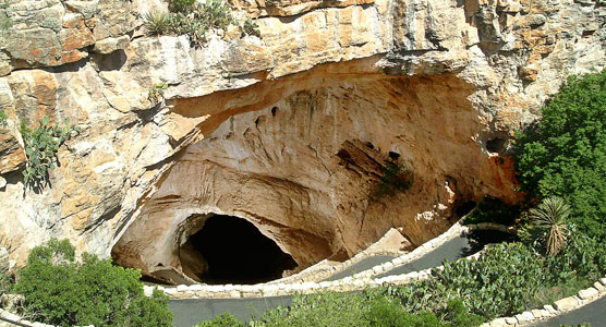 of Carlsbad Cavern.