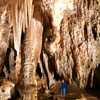 Queen’s Chamber in the Kings Palace of Carlsbad Cavern.