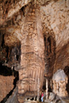 The Monarch in Slaughter Canyon Cave.