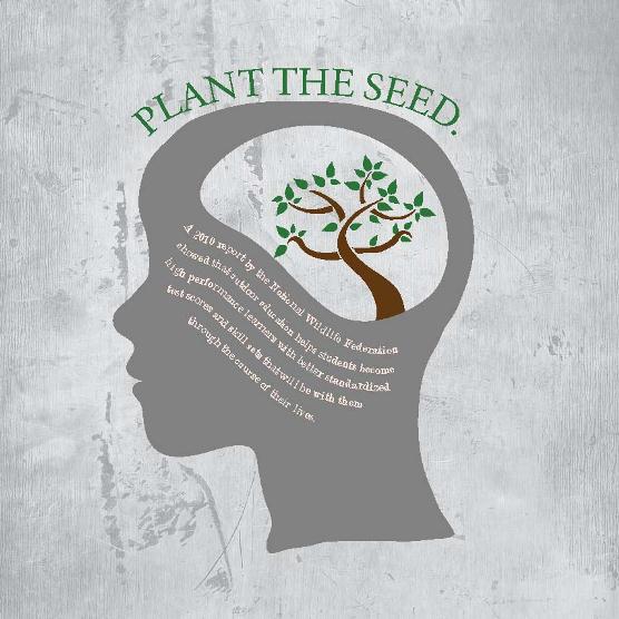 Plant the seed