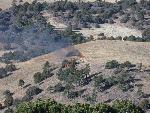 South ignition on Ponderosa hill