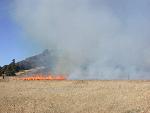 Firefighters ignite grass along entrance road.
