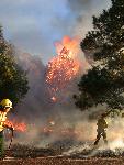 Maintaining prescribed fire