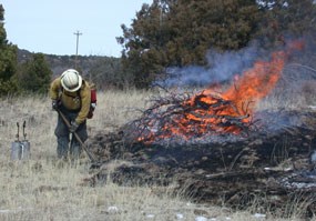 color photograph of firefighter burning brush pile